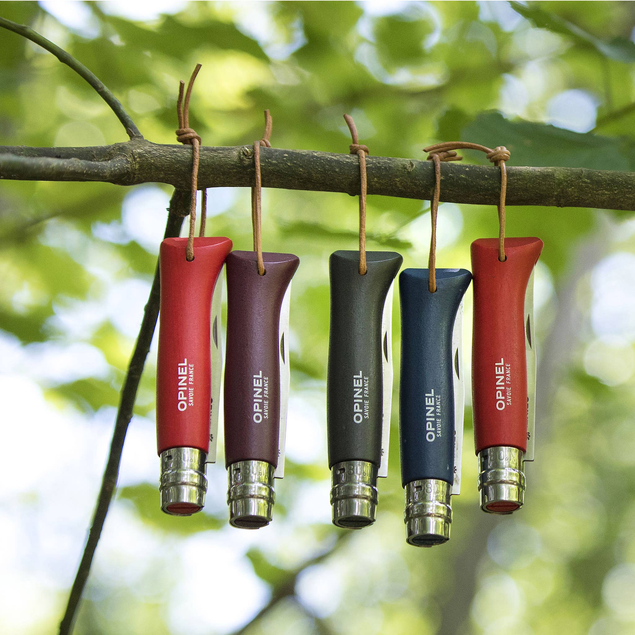 Opinel - No.08 Colorama Stainless Folding Knives