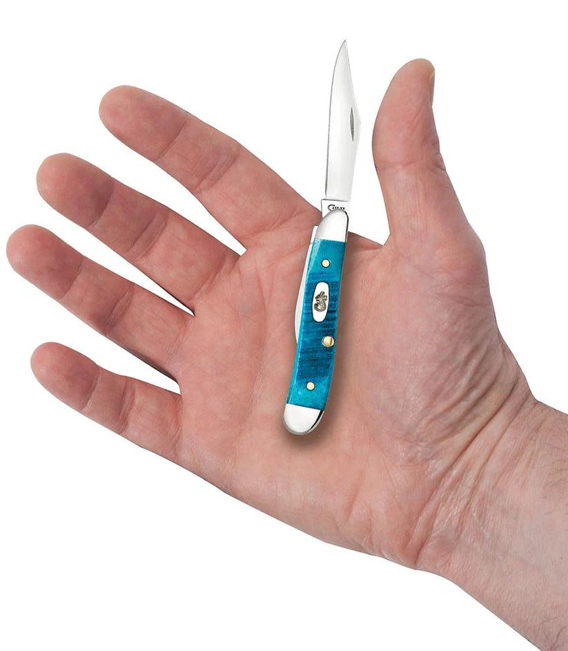 Case Peanut Knife – Caribbean Blue Bone – Tru-Sharp™ Stainless Steel – Made in USA